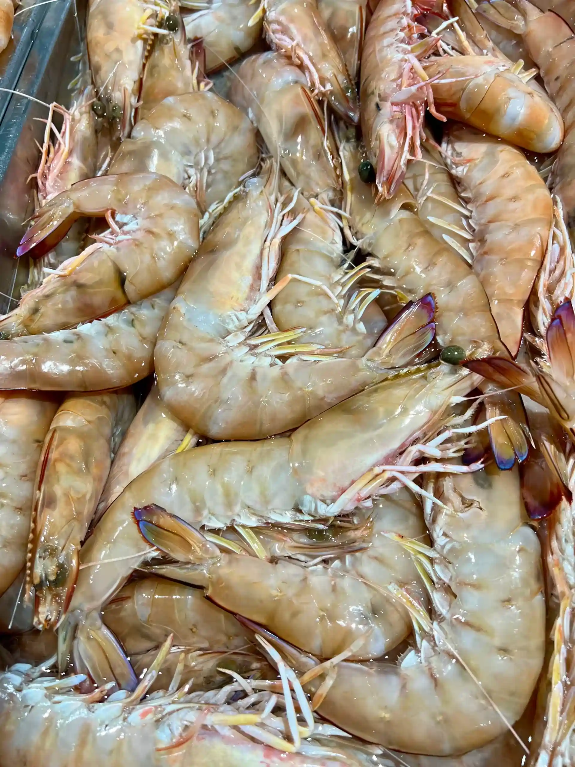 Prawns