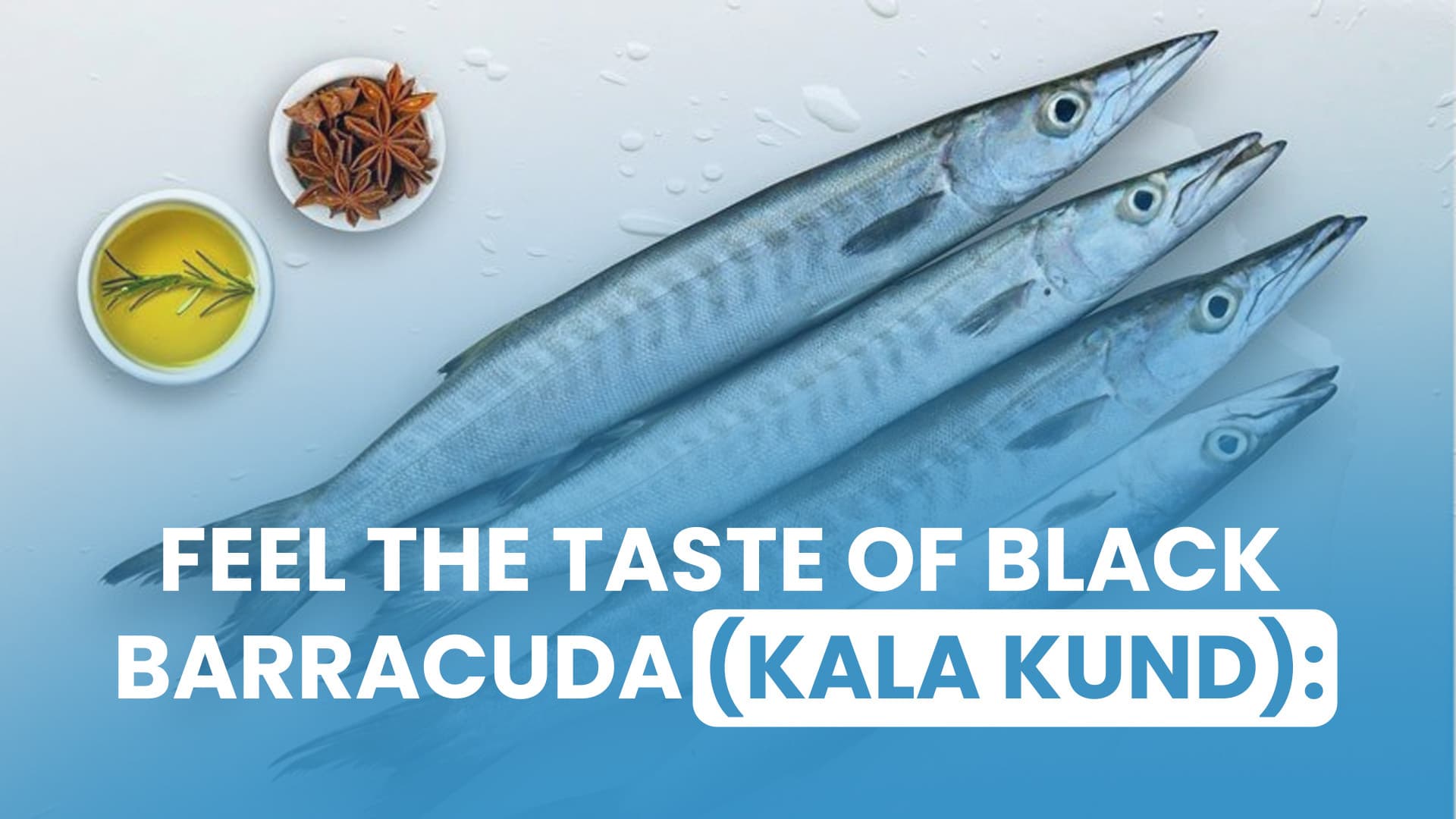 Feel the Taste of Black Barracuda (Kala Kund): A Seafood Bonanza in Pakistan