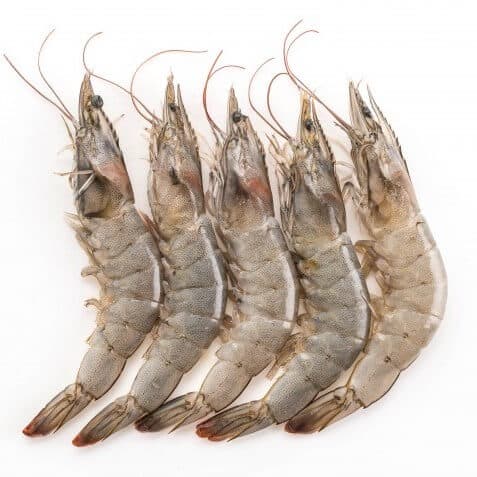 Large Prawns