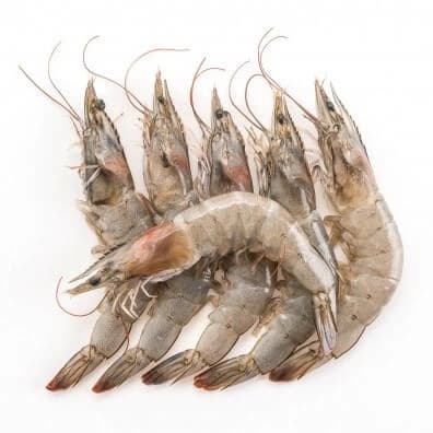 Medium Prawns — image 1