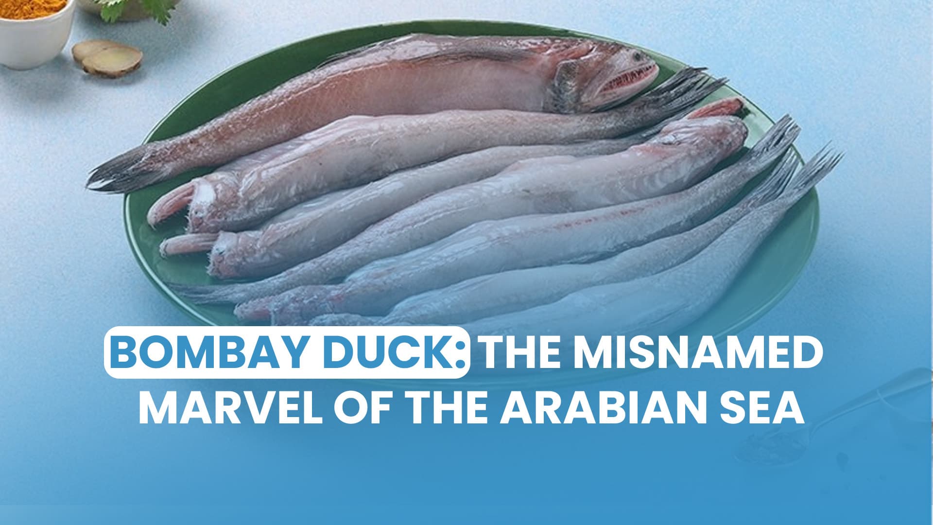 Bombay Duck: The Misnamed Marvel of the Arabian Sea