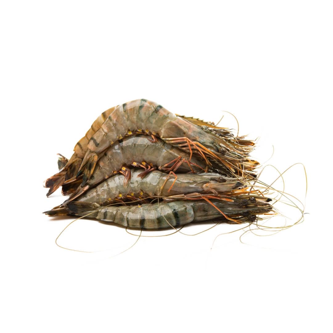 Super Tiger Prawns